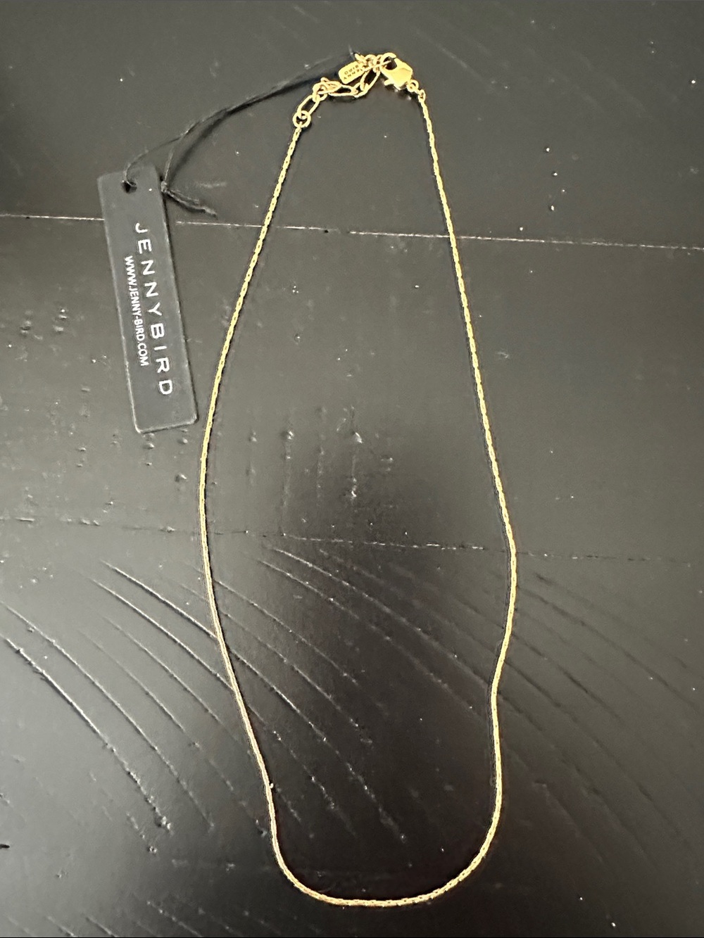 Jenny Bird Delicate Gold Chain Necklace